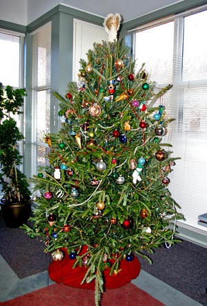 Conservatory-Tree
