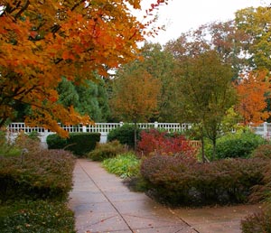 Courtyard-late-Oct