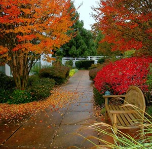 Courtyard-walkway
