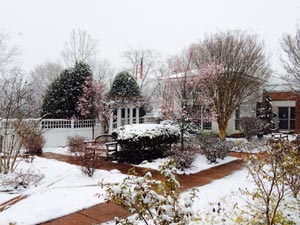 Lynn-House-courtyard