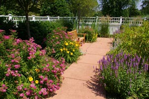 Welcoming-bench