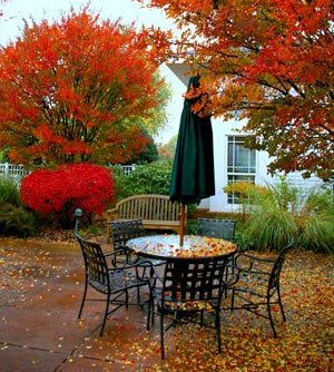 autumn_Patio-table