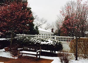 winter-and-spring-courtyard