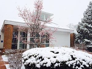 winter-conservatory-snow-view