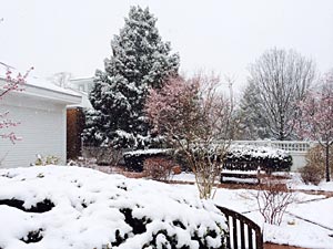winter-last-snow