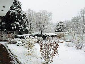 winter-snow