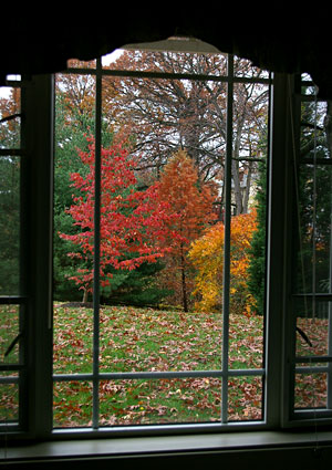 View-1-from-102's-window